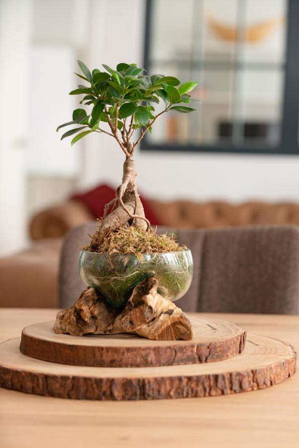 Exklusives Loft Im Zentrum Von Apartment